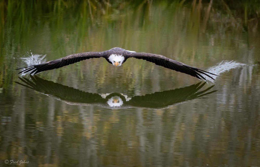eagle lake.jpg